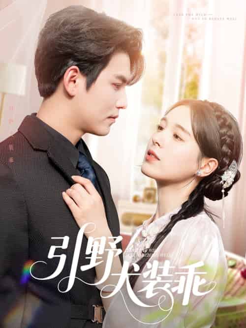 引野犬装乖（61集）宗沐一＆方思畅-搜外项目网