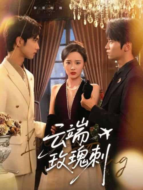 云端玫瑰刺（68集）吴俊杰＆夏欢亭-搜外项目网