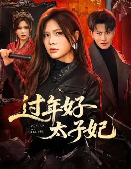 过年好太子妃(52集全)韩明熙&伊晨-搜外项目网