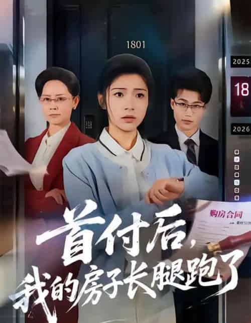 首付后，我的房子长腿跑了（60集全）耿池苏＆江海-搜外项目网