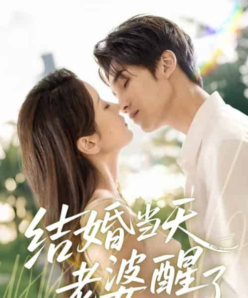 结婚当天老婆醒了（70集）李思杨＆张沫蕾-搜外项目网