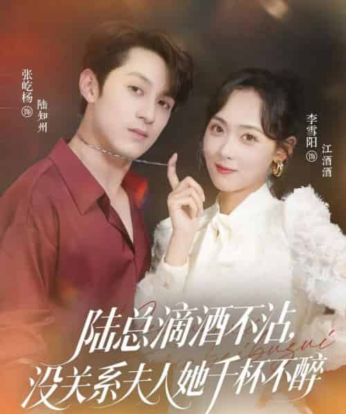 陆总滴酒不沾，没关系夫人她千杯不醉（46集）张屹杨＆李雪阳-搜外项目网