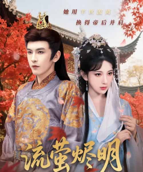 流萤烬明（70集）高明君＆沈照程-搜外项目网