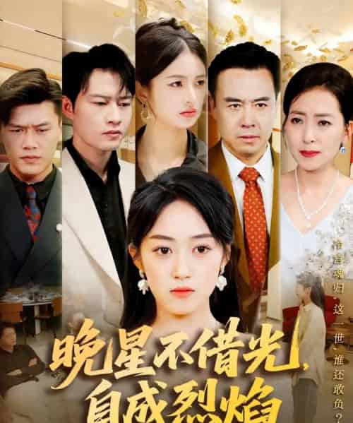 晚星不借光自成烈焰（65集）黄谋＆薛琪慧-搜外项目网