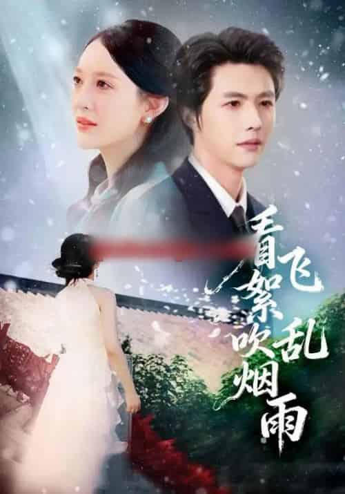 看飞絮吹乱烟雨（60集全）刘萌＆李明源-搜外项目网