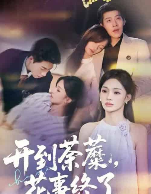 开到荼蘼，花事终了（77集全）靳宇阳＆王为洋-搜外项目网