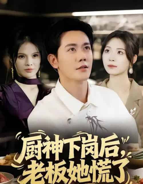 厨神下岗后，老板她慌了（66集全）龙泽鸣＆孙烟岚-搜外项目网