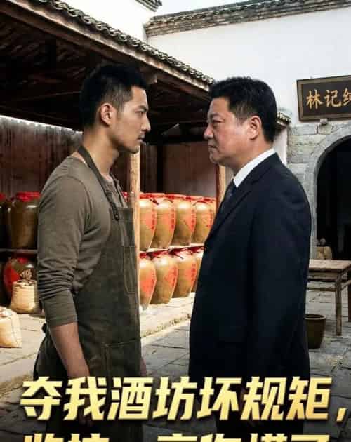 夺我酒坊坏规矩监控一亮你慌了（51集全）-搜外项目网