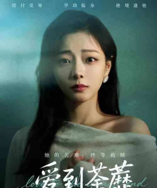 爱到荼蘼（63集全）彭静＆张振东-搜外项目网