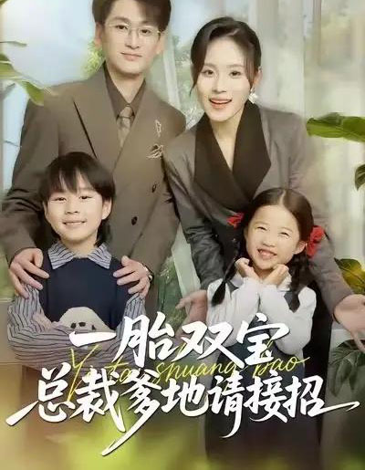 一胎双宝总裁爹地请接招（56集全）郑洋＆周宏翔＆陈英-搜外项目网