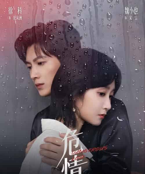 危情(65集全)徐科&魏小也-搜外项目网