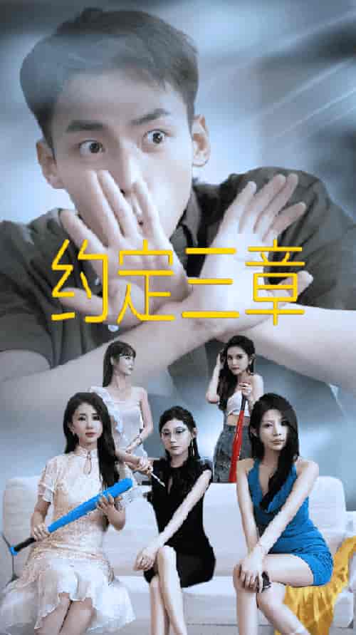 约定三章＆房东归来（60集）欧娜-搜外项目网