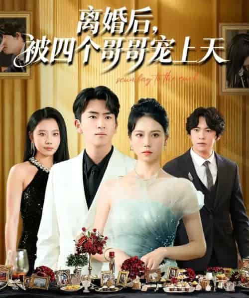 离婚后被四个哥哥宠上天（72集全）王艳秋＆李家豪-搜外项目网