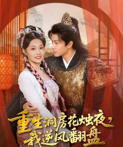 重生洞房花烛夜，我逆风翻盘（80集全）吴佳诺＆徐晨皓-搜外项目网