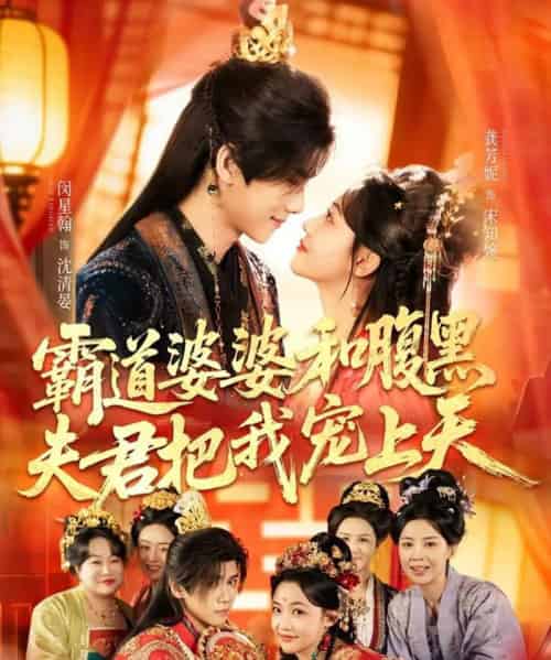 霸道婆婆和腹黑夫君把我宠上天＆四个婆婆和腹黑夫君把我宠上天（65集全）闵星翰＆龚芳妮-搜外项目网