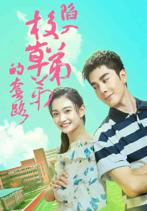 陷入校草弟弟的套路（60集全）裴衍之＆顾若若-搜外项目网