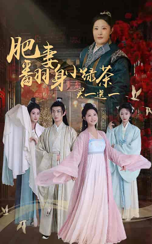 肥妻翻身小绿茶买一送一（65集全）张震-搜外项目网