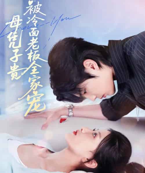 母凭子贵被冷面老板全家宠（60集全）闻至承＆董瑷宁-搜外项目网
