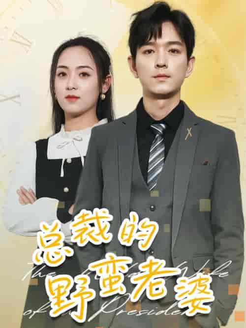 总裁的野蛮老婆(75集)李雪阳-搜外项目网