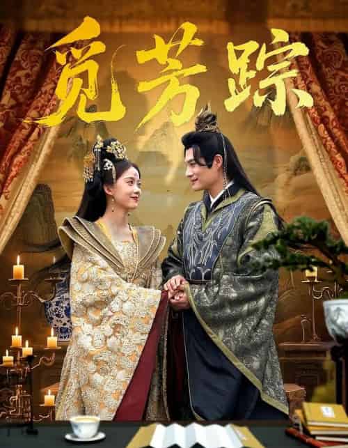 觅芳踪(91集)黄骞&唐敬-搜外项目网