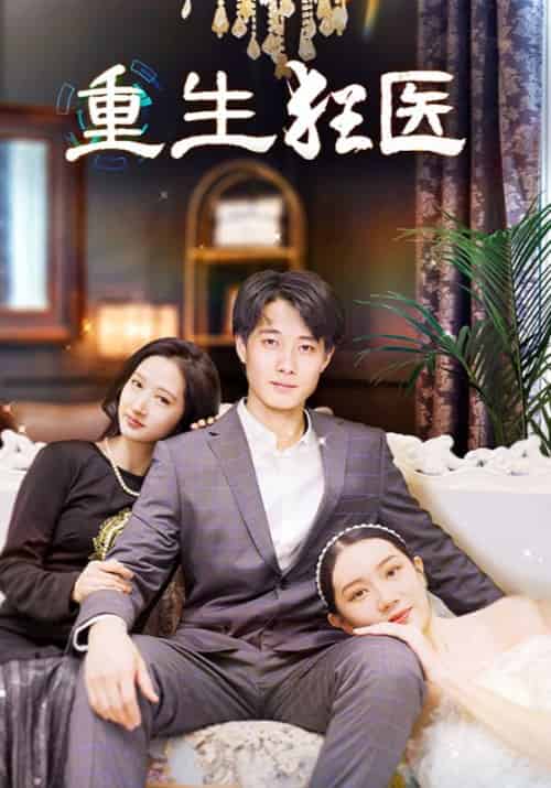 重生狂医（100集）叶枫＆苏倩-搜外项目网
