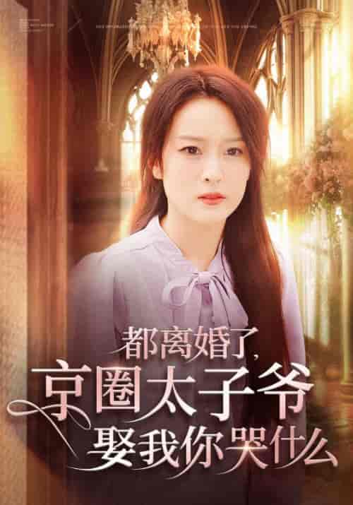 都离婚了京圈太子爷娶我你哭什么（58集全）伍怡-搜外项目网