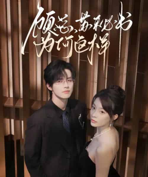 顾总，苏秘书为何这样（67集全）苏和＆李芮峤-搜外项目网