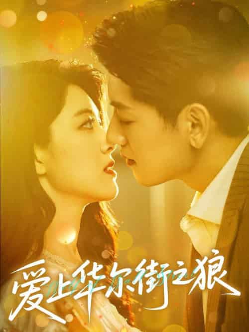 爱上华尔街之狼（60集全）黄子珺＆王金宝-搜外项目网