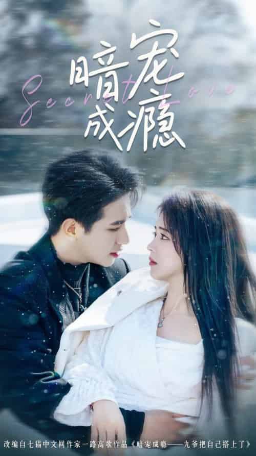 暗宠成瘾（56集全）王浩翔＆蔡淼燕-搜外项目网