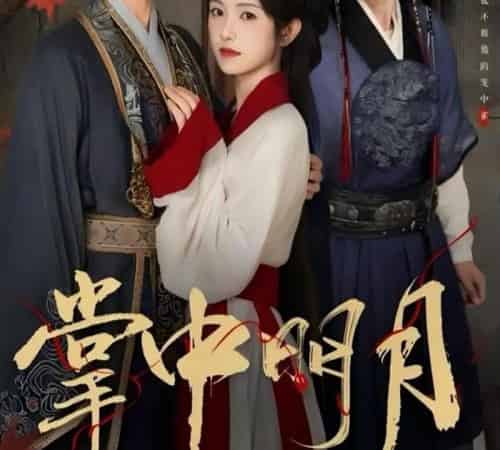 掌中明月（60集）韦若辰＆卢鹿鹿-搜外项目网