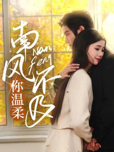 南风不及你温柔（74集全）谢鸿鑫＆李丫丫-搜外项目网