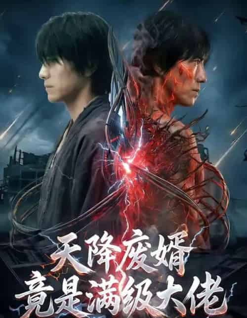 天降废婿竟是满级大佬（58集全）AI-搜外项目网