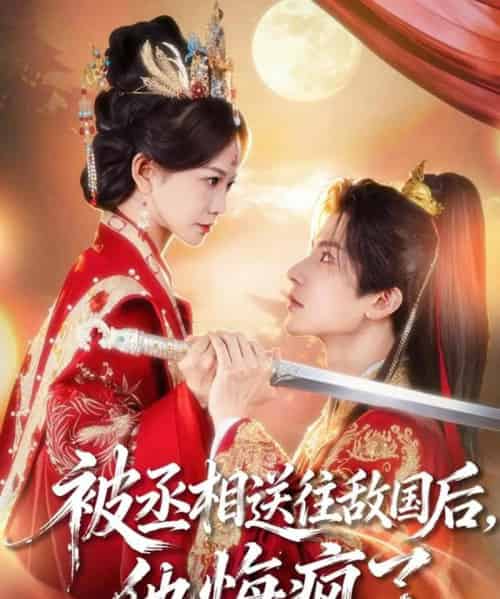 被丞相送往敌国后,他悔疯了(60集全)王琳惠&林飞羽-搜外项目网