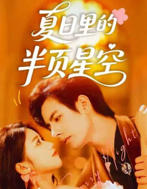 夏日里的半页星空（70集）李豪＆高洁慧-搜外项目网