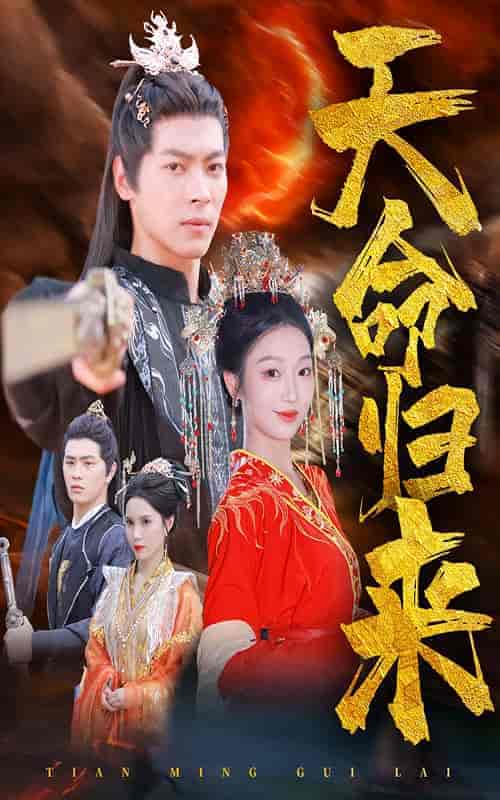 天命归来（60集全）董一-搜外项目网