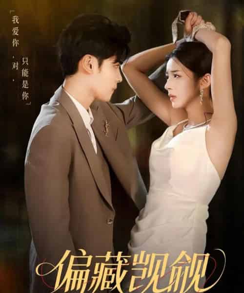 偏藏觊觎（60集）陆天玮＆邱卓雅-搜外项目网