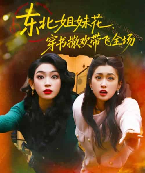 东北姐妹花，穿书撒欢带飞全场（60集全）童家豪＆崔十一-搜外项目网