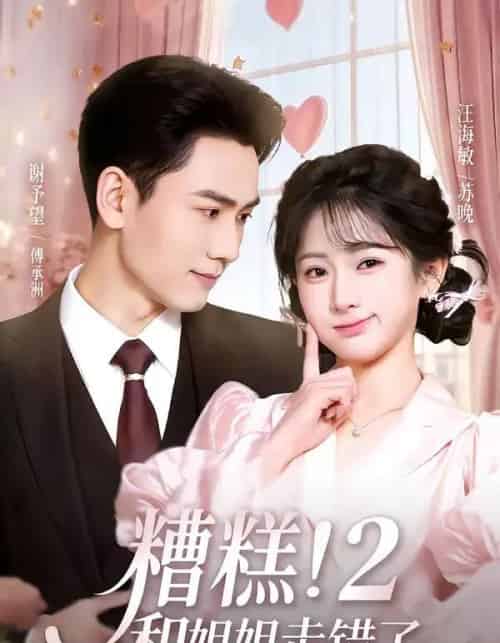 糟糕!和姐姐走错了第2部(80集全)谢予望&汪海敏-搜外项目网