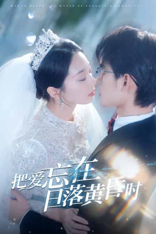 把爱忘在日落黄昏时&重逢仍是心动(60集全)张力壬&张紫菡-搜外项目网