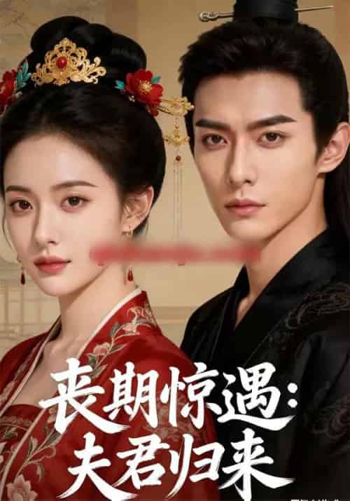 丧期惊遇：夫君归来（49集全）AI-搜外项目网