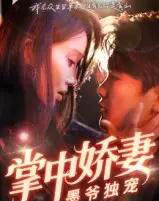 掌中娇妻墨爷独宠（30集全）棠夏＆庞冉-搜外项目网