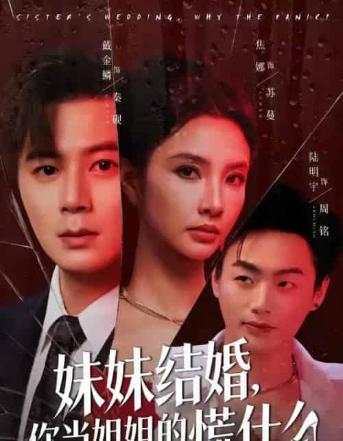 妹妹结婚，你当姐姐的慌什么（53集全）戴金麟＆焦娜-搜外项目网