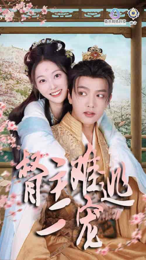 禁欲督主轻轻宠＆督主难逃一宠（83集全）王宇威＆吴佳诺-搜外项目网