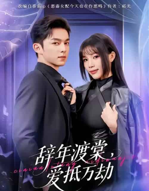 辞年渡棠，爱抵万劫（80集全）赵偲佟＆胡文晖-搜外项目网