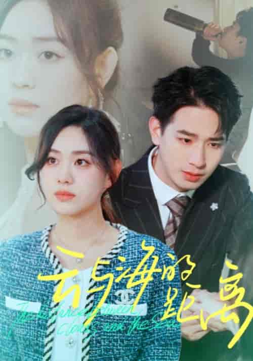 云与海的距离(34集全)王浩翔-搜外项目网