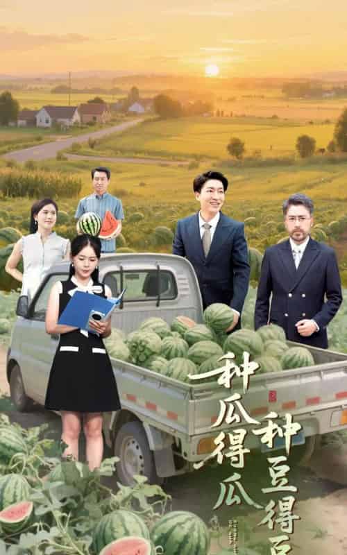 种瓜得瓜种豆得豆（30集）刘丽＆陈子轩-搜外项目网