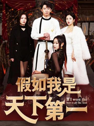 假如我是天下第一(80集)-搜外项目网