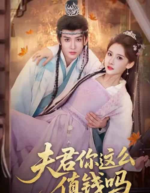 夫君你这么值钱吗（64集全）毕宸睿＆宋昭艺-搜外项目网
