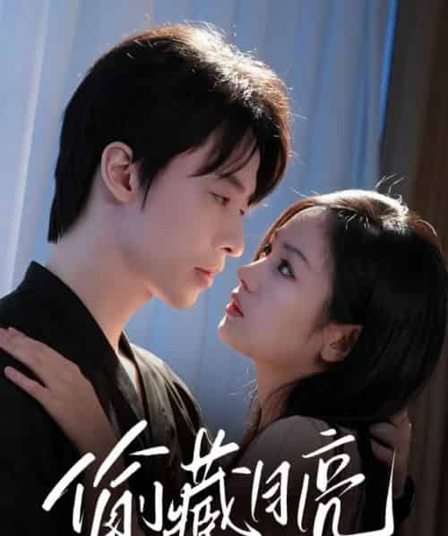 偷藏月亮（64集）张逸伦＆田苗苗-搜外项目网