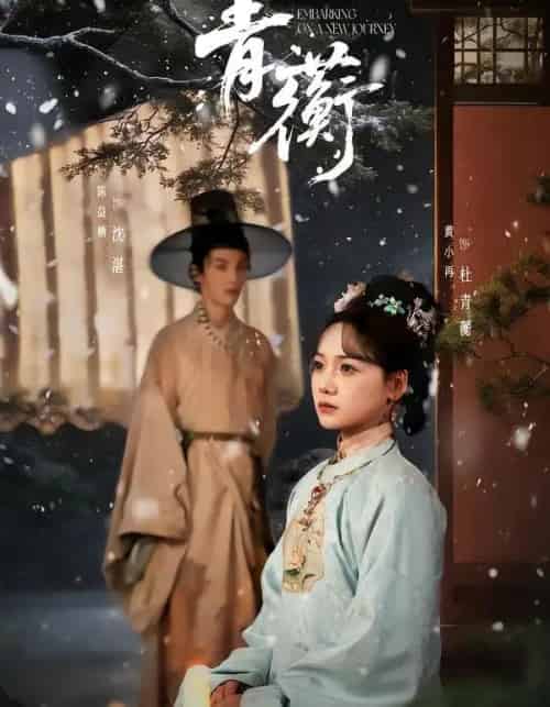 青蘅（57集全）程硕男＆黄小再-搜外项目网